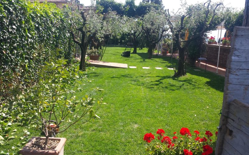 FOTTO ANO 2016 639